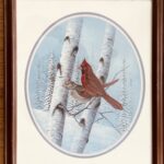 Brilliance in the Birch