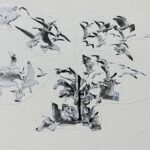 15 x 12 of collage of gull photos on board painted white Cathal O’Toole Estate stamp on back A portfolio of prints, paintings and drawings by Cathal Brendan O’Toole (Irish/American; 1904-1991). Irish-born artist Cathal Brendan O’Toole was known for his paintings, engravings and etchings including Chariot (1936). O’Toole first began to study fine art at the Glasgow School of Art before moving to New York to become a commercial artist after a stint as captain in the Irish Republican Army. O’Toole continued his studies in New York City at the Art Students League and the National Academy of Design. Later, he started his career teaching at Finch Junior College. During his lifetime O’Toole received much sponsorship for his work, including two Tiffany Foundation fellowships and the Pulitzer Traveling Scholarship in 1934. His work has been exhibited in the Art Institute of Chicago, the National Academy Museum (New York), and the Virginia Museum of Art as well as many others.